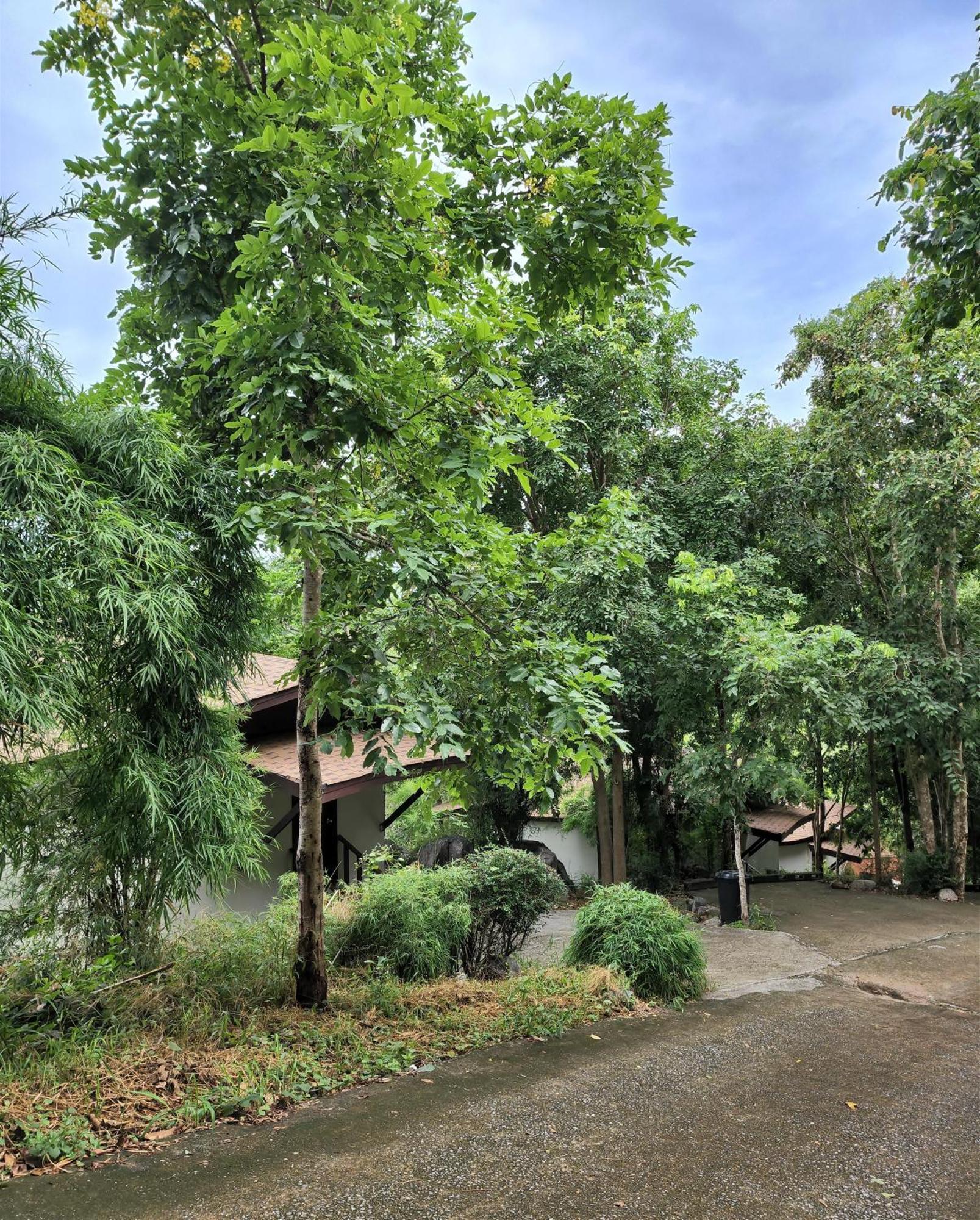 Hua Hin Home Hill Exterior foto